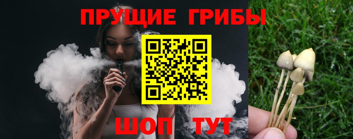 Псилоцибиновые грибы мицелий  Вход с VPN  Ялта 